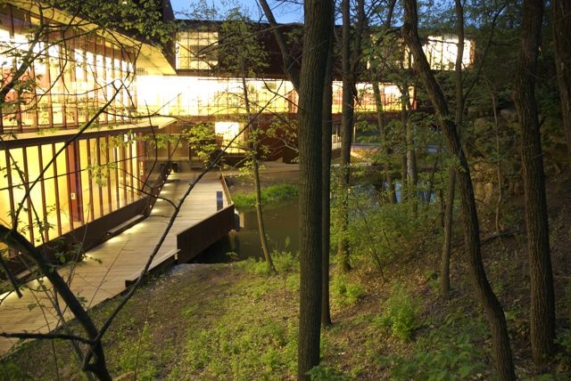 Art Building West trees night